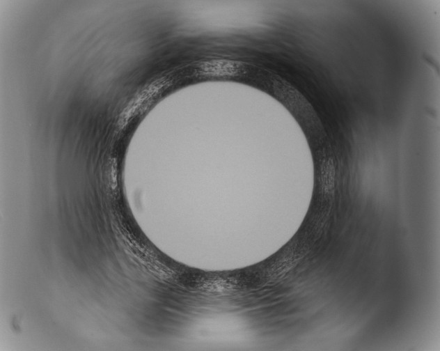 X0000103950731200810311548