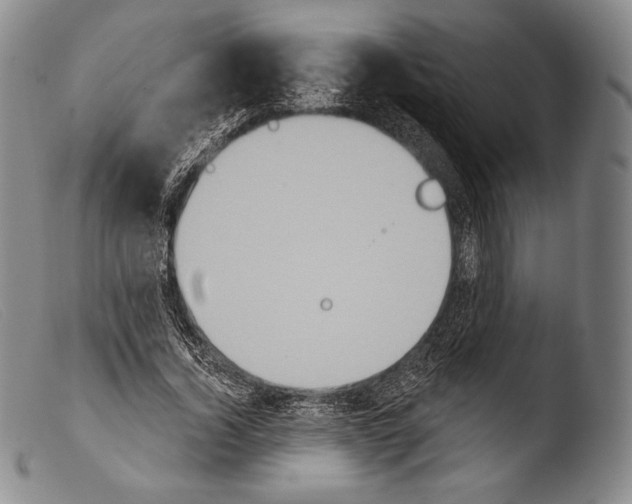X0000103950732200810311548