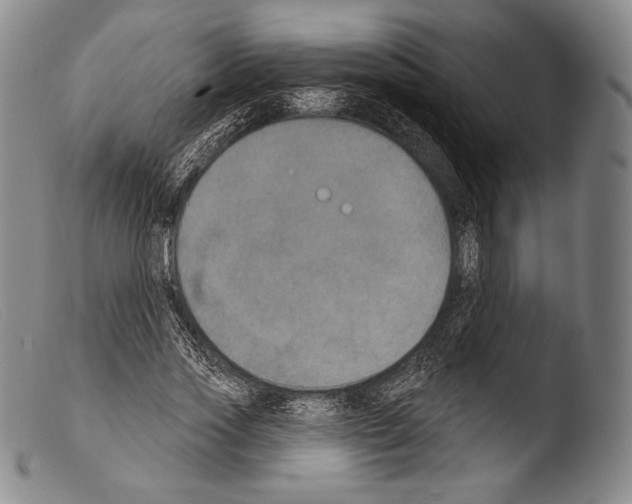 X0000103950733200810311548