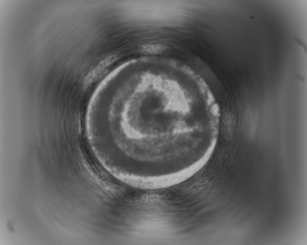 X0000103950734200810311548