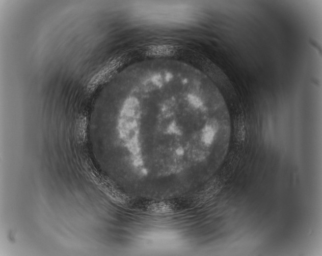 X0000103950735200810311548
