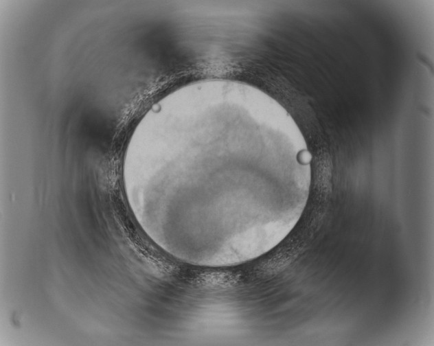 X0000103950736200810311548