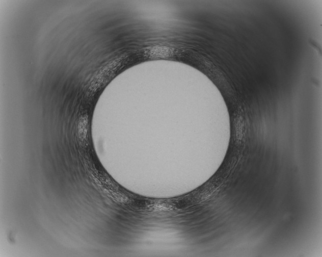 X0000103950737200810311548