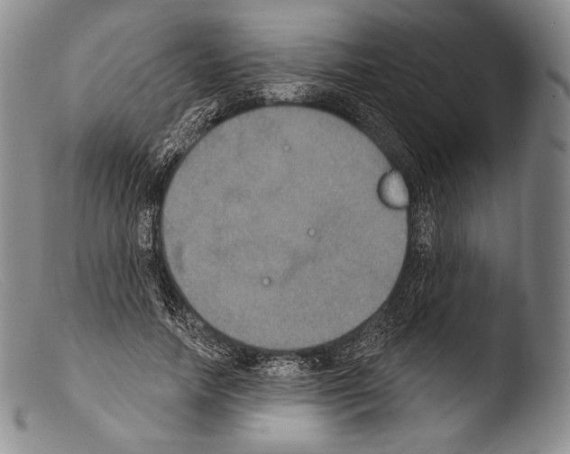 X0000103950738200810311548
