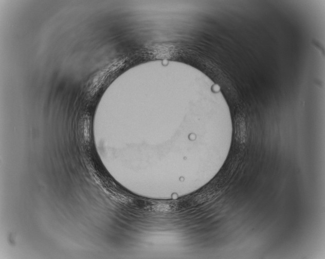 X0000103950740200810311548