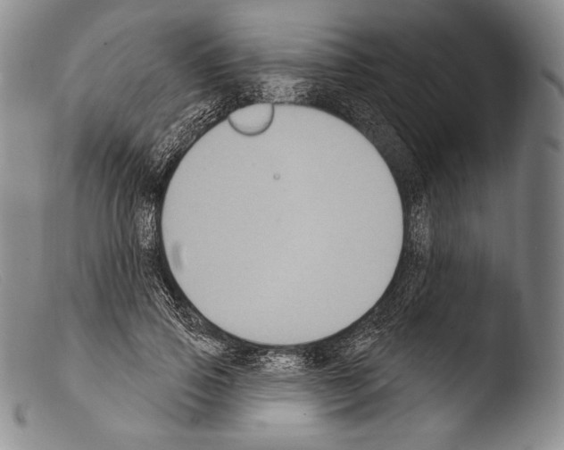 X0000103950741200810311548