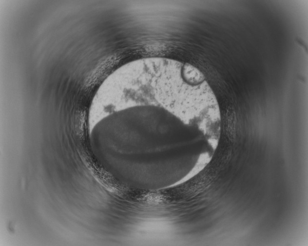 X0000103950742200810311548