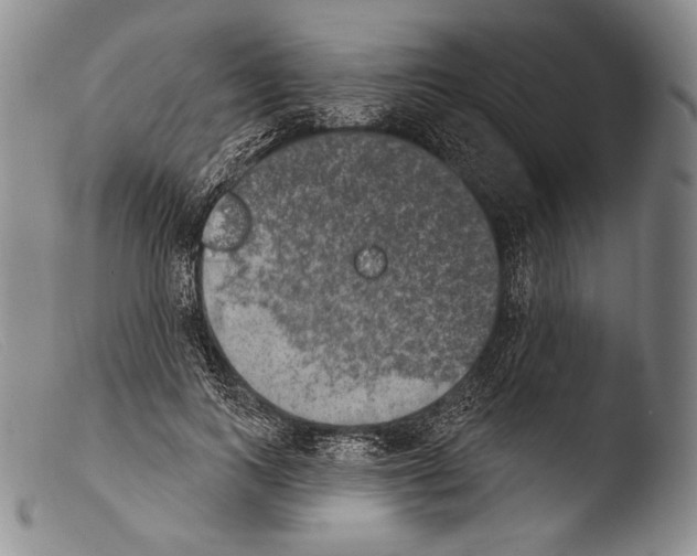 X0000103950743200810311548