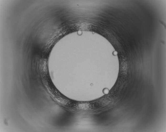 X0000103950744200810311548