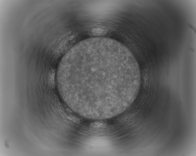 X0000103950745200810311548