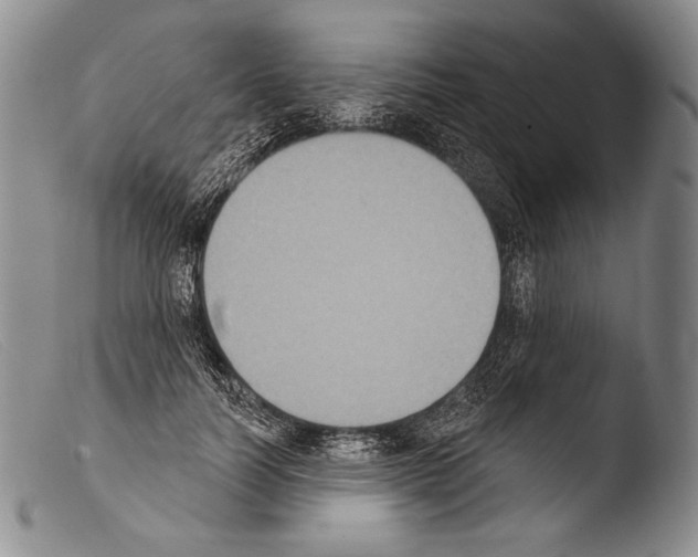 X0000103950746200810311548
