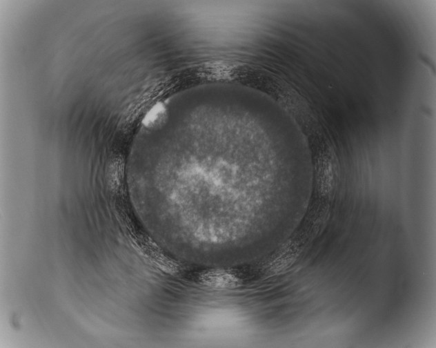 X0000103950747200810311548