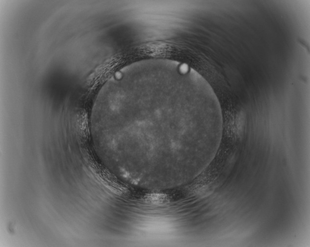X0000103950748200810311548