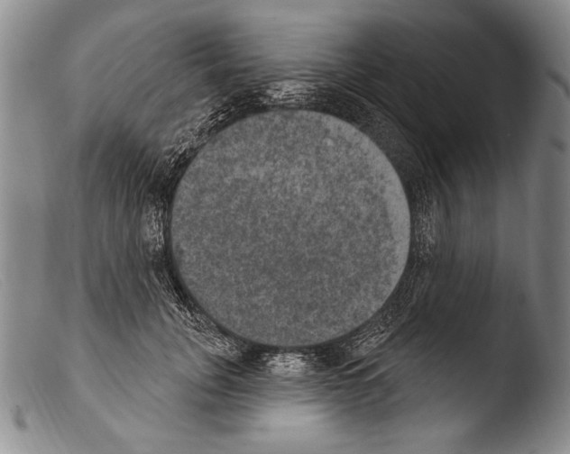 X0000103950751200810311548