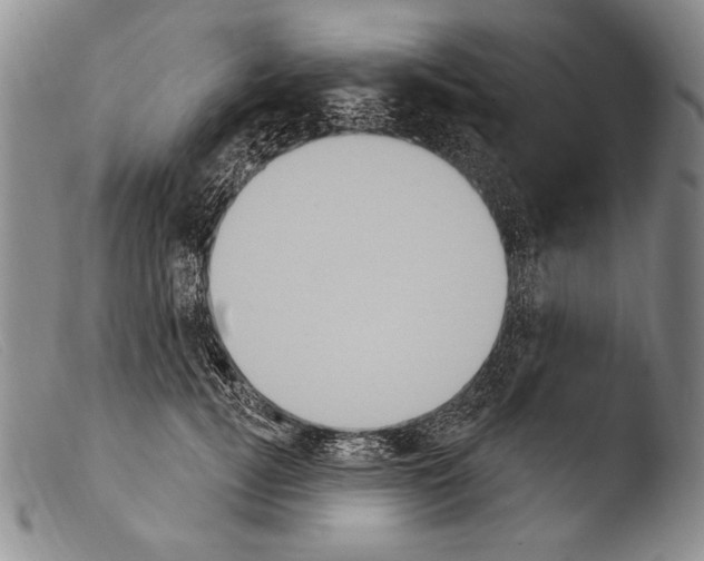X0000103950752200810311548