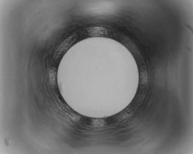 X0000103950753200810311549