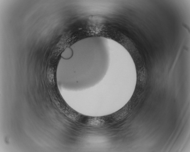 X0000103950754200810311549