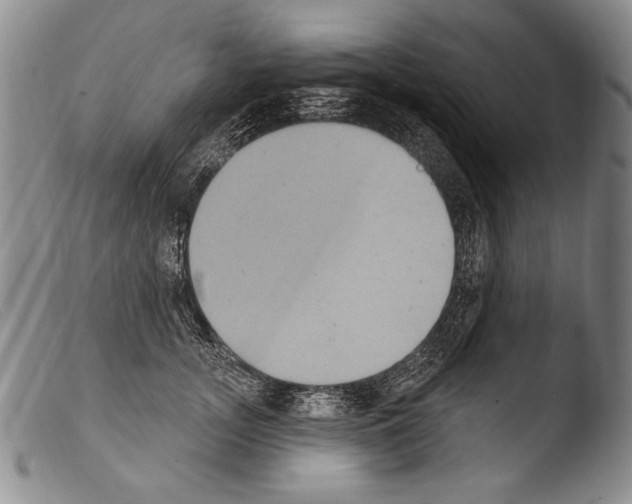 X0000103950755200810311549