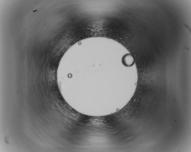 X0000103950756200810311549
