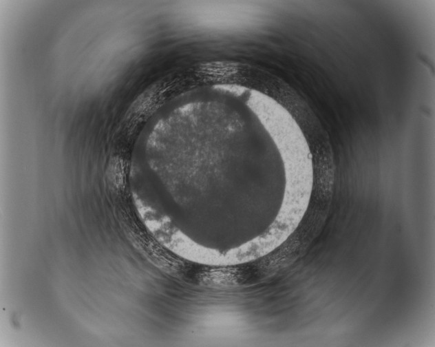 X0000103950758200810311549