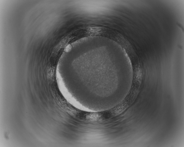 X0000103950759200810311549