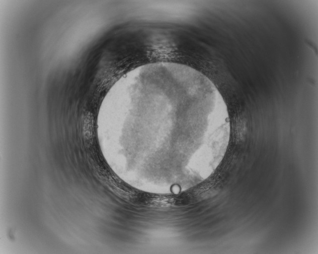 X0000103950760200810311549