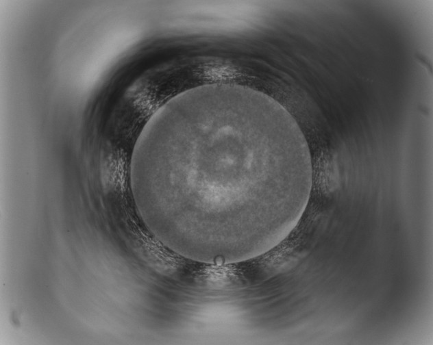 X0000103950762200810311549