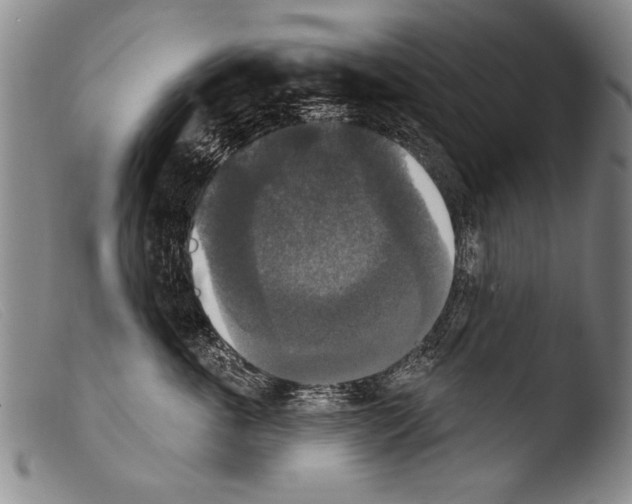 X0000103950763200810311549