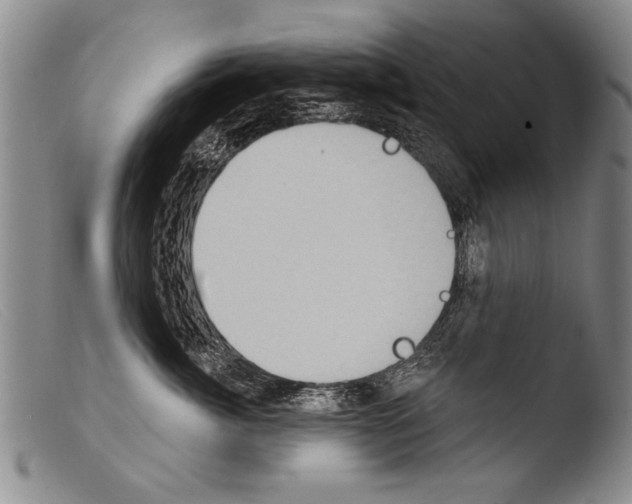 X0000103950764200810311549