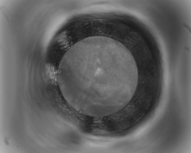 X0000103950766200810311549