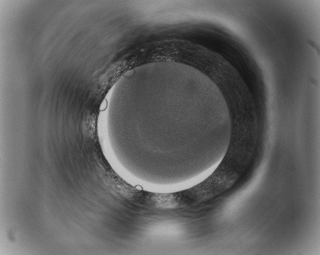 X0000103950767200810311549