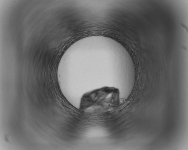 X0000103950768200810311549