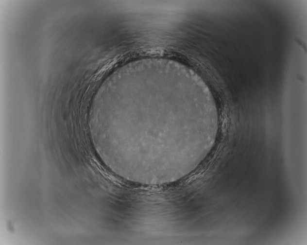 X0000103950769200810311548