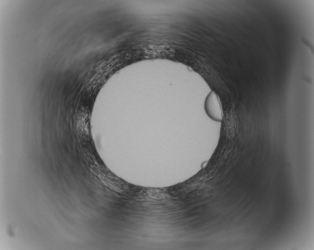 X0000103950770200810311548