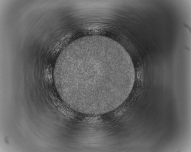 X0000103950771200810311548