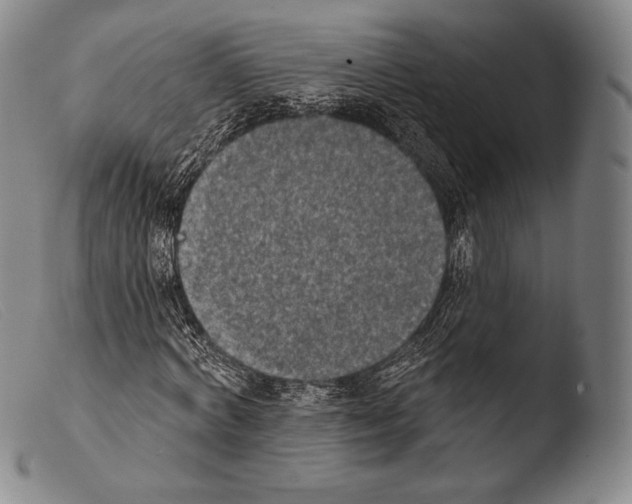 X0000103950772200810311548