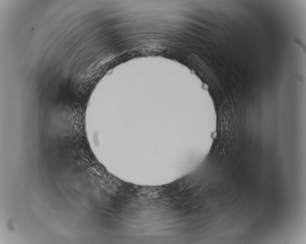 X0000103950773200810311548