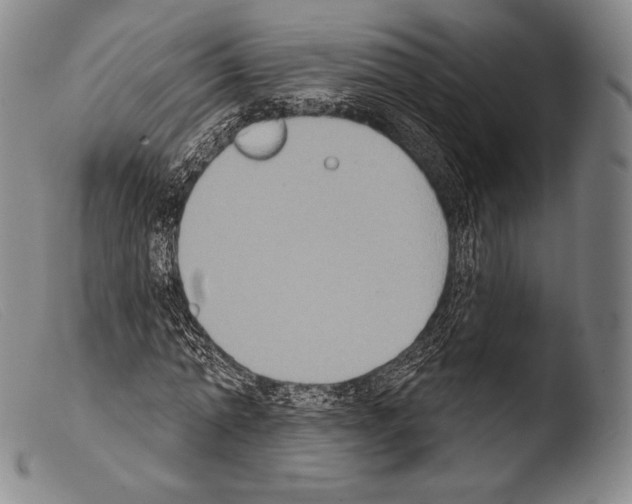 X0000103950774200810311548