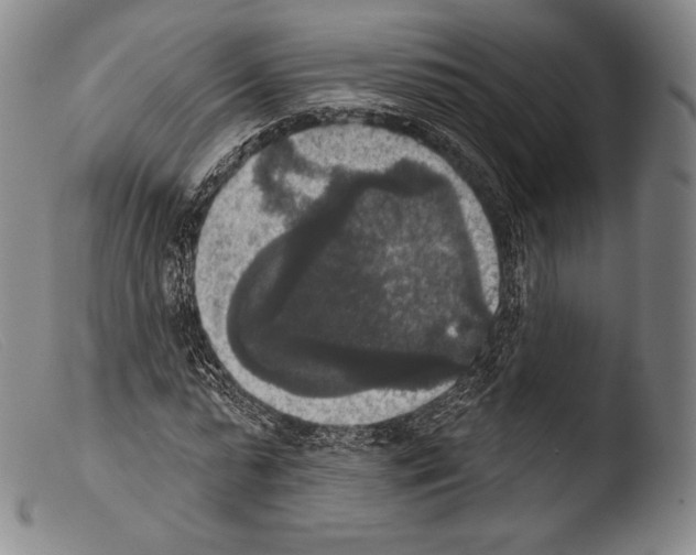 X0000103950775200810311548