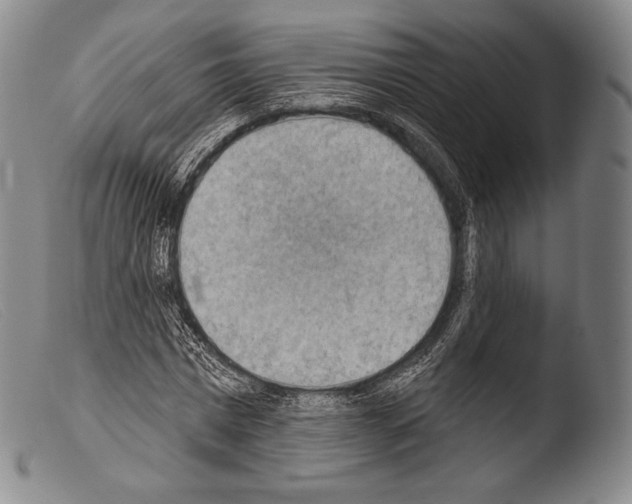 X0000103950777200810311548