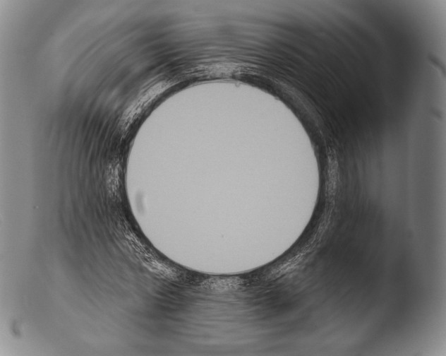 X0000103950778200810311548