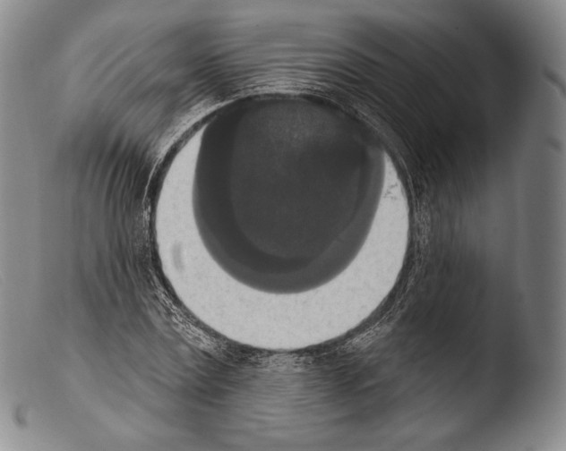 X0000103950779200810311548