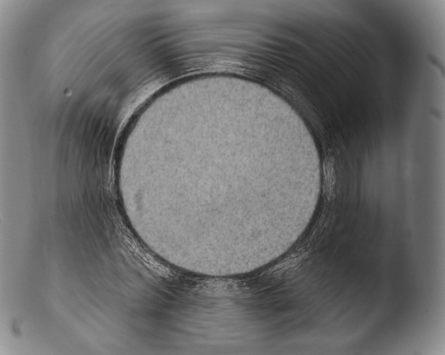 X0000103950780200810311548