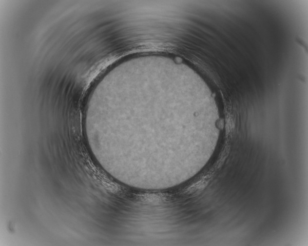 X0000103950781200810311548