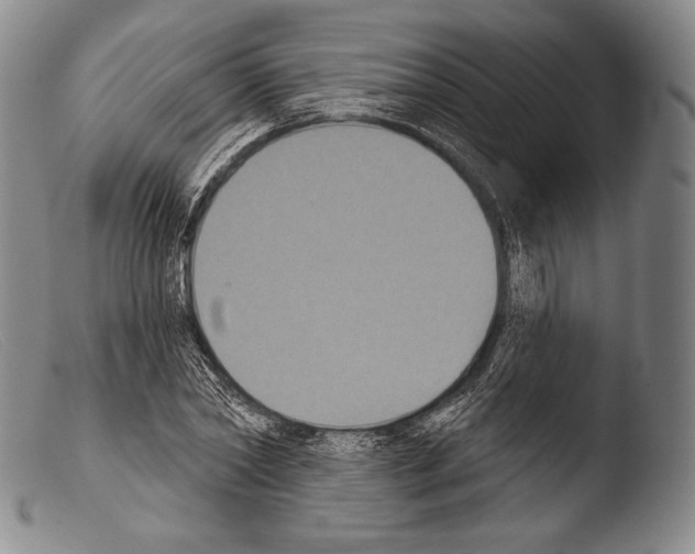 X0000103950782200810311548
