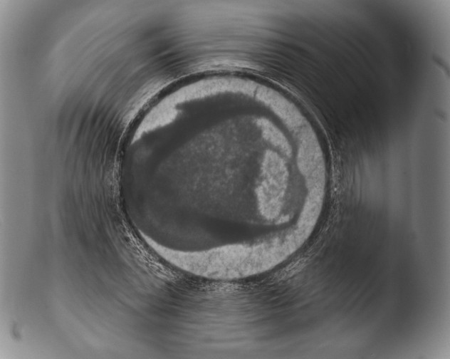 X0000103950783200810311548