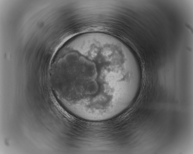 X0000103950784200810311548