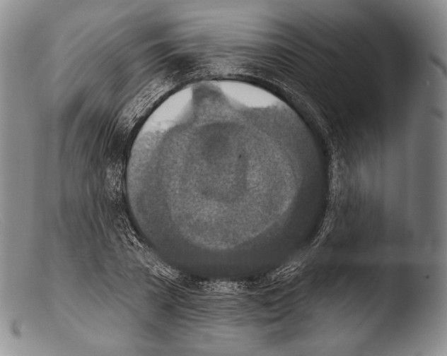 X0000103950785200810311548