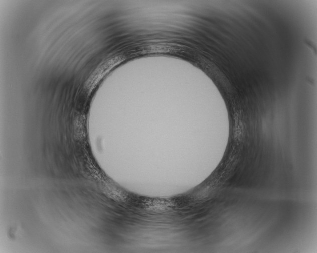 X0000103950786200810311548