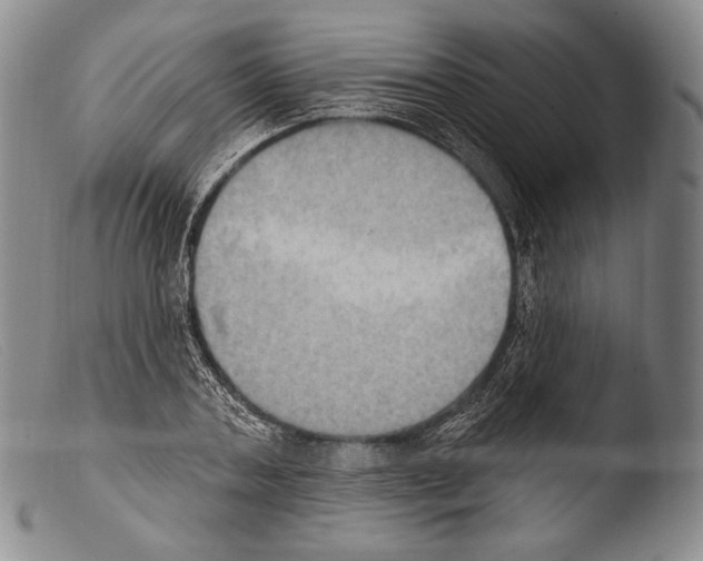 X0000103950787200810311548